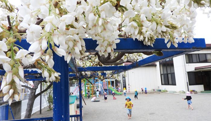 松代幼稚園 信濃キリスト教学園 幼稚園型認定こども園 長野県長野市にある松代幼稚園 は 子ども一人ひとりの成長しようとする心のサポートを何より大切にしています